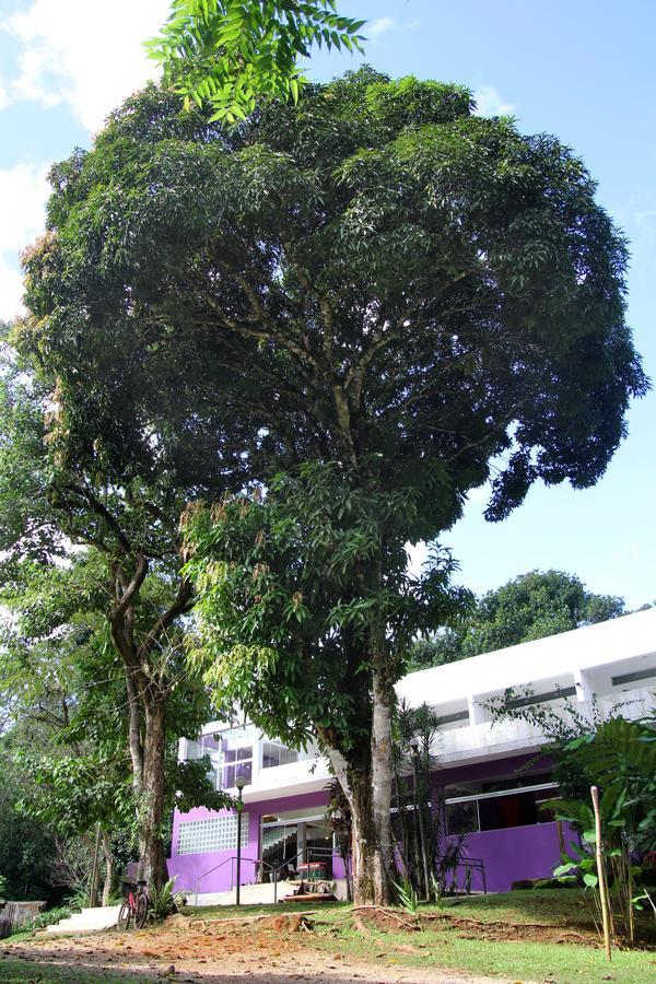 Casa Bacarira